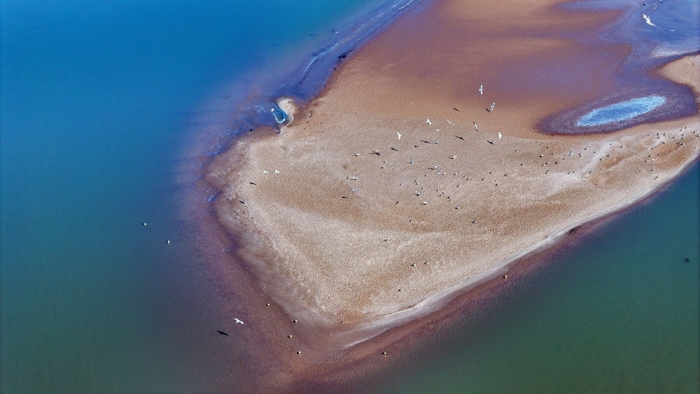 2024年3月1日拍攝的黃河寧夏段（無人機(jī)照片）。