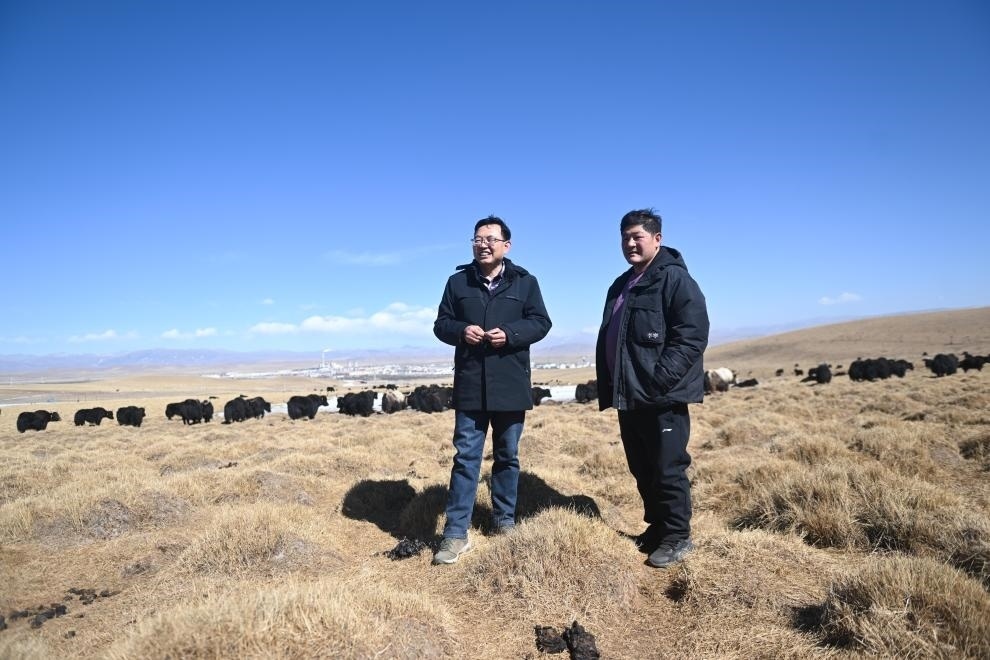 2023年2月24日，在青海省海北藏族自治州海晏縣青海湖鄉(xiāng)達(dá)玉日秀村，全國人大代表董全民（左）查看牧民東知布家的草場。新華社記者 張龍 攝