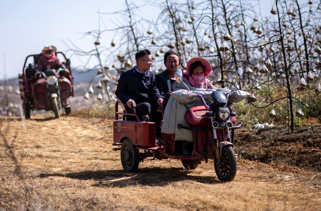 全國人大代表袁海波（右三）在云南省曲靖市馬龍區(qū)一種植基地了解務(wù)工人員就業(yè)需求（2023年2月11日攝）。新華社記者 江文耀 攝