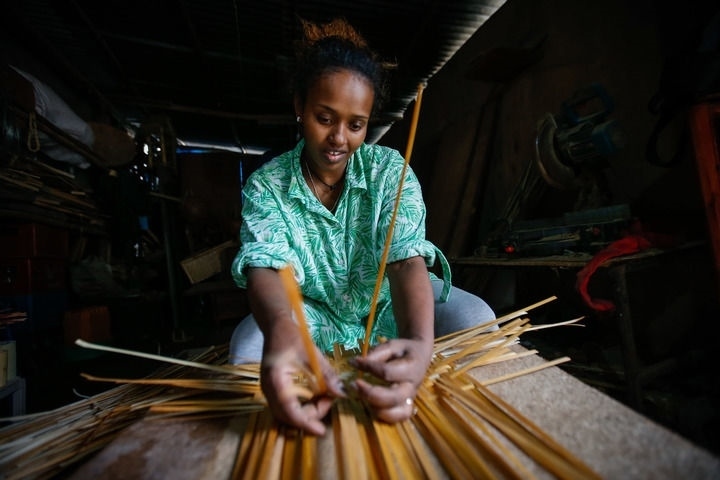 2024年8月10日，菲基爾特·加布雷在埃塞俄比亞首都亞的斯亞貝巴名為“綠色金子”的竹藤工作室里加工竹制產(chǎn)品。新華社發(fā)（邁克爾·特韋爾德 攝）