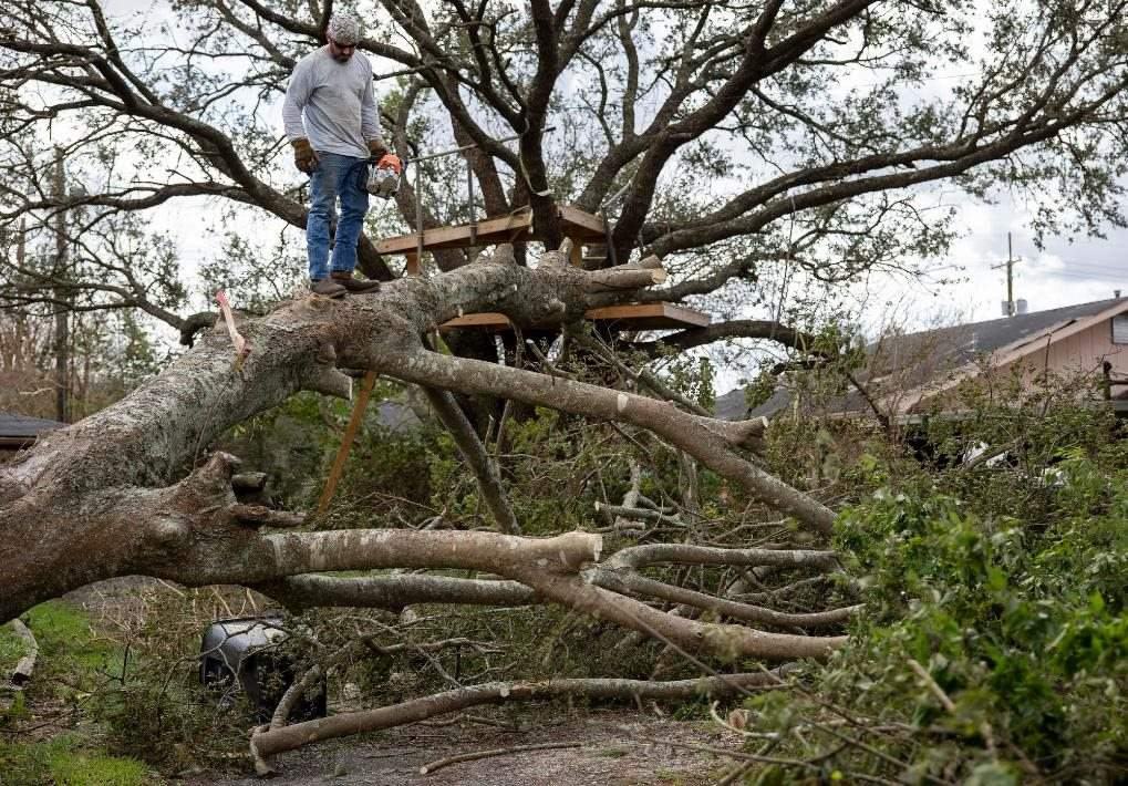2021年8月30日，在美國路易斯安那州霍馬，一名男子站在被颶風(fēng)吹倒的大樹上。新華社發(fā)（尼克·瓦格納 攝）
