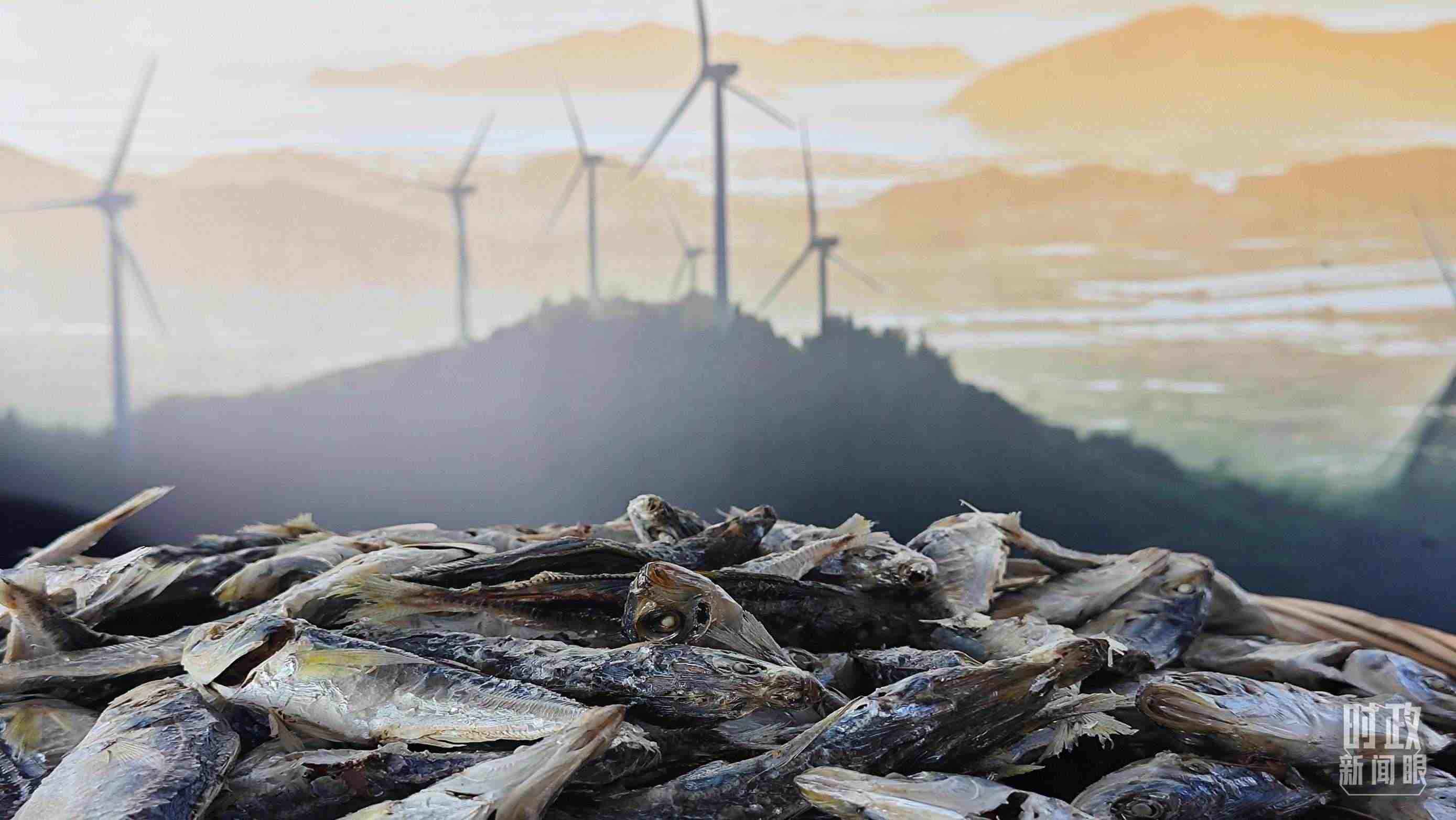 △澳角村的海產(chǎn)品。（總臺央視記者許永松拍攝）