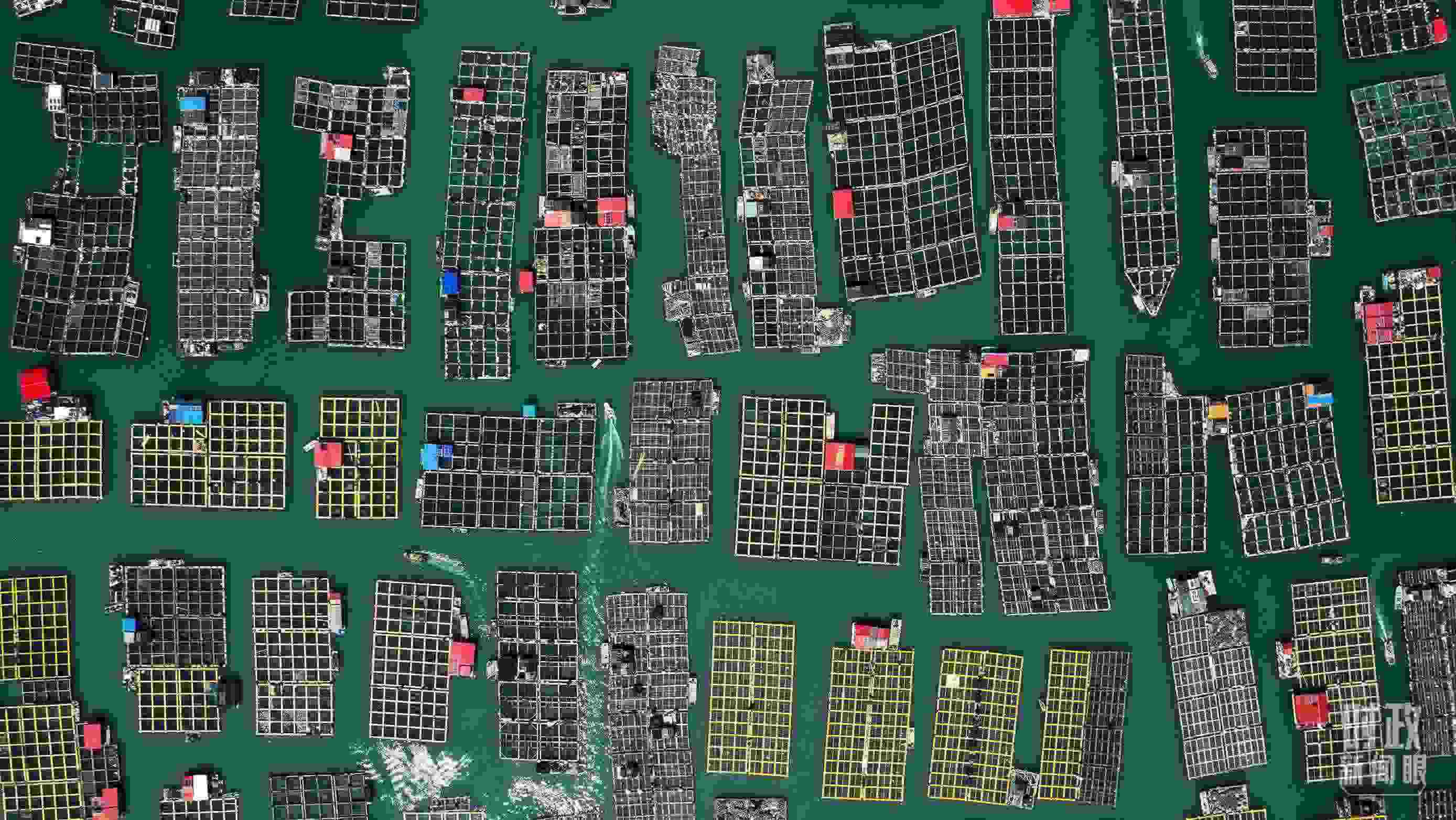 △澳角村。（總臺記者李晉拍攝）