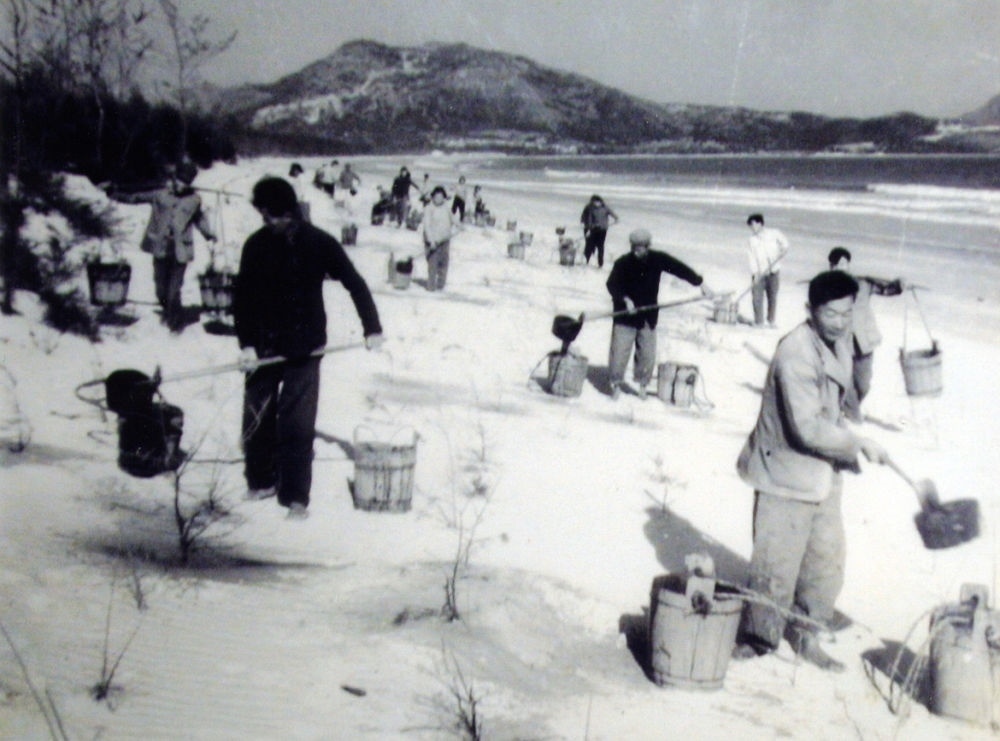 上世紀東山百姓在沙灘造林（資料照片）。