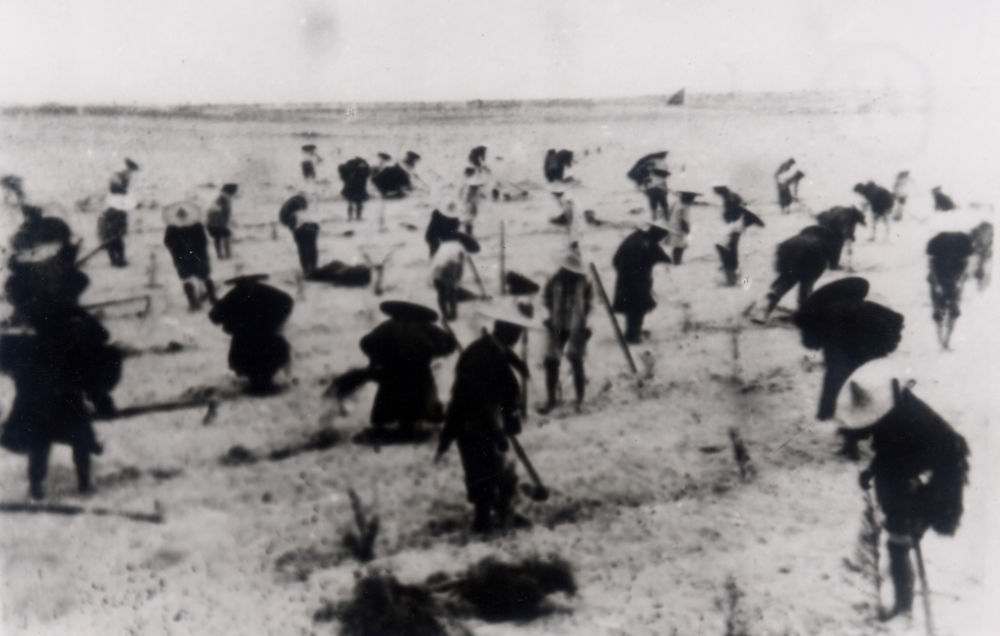 上世紀東山百姓在沙灘造林（資料照片）。