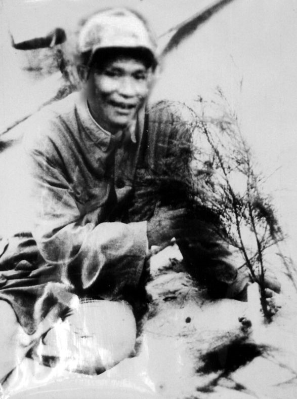 谷文昌與試種成活的木麻黃（資料照片）。為了治沙，谷文昌爬遍了東山縣400多個山頭，踏遍了30多公里的沙灘，終于帶領東山人民試種木麻黃成功。