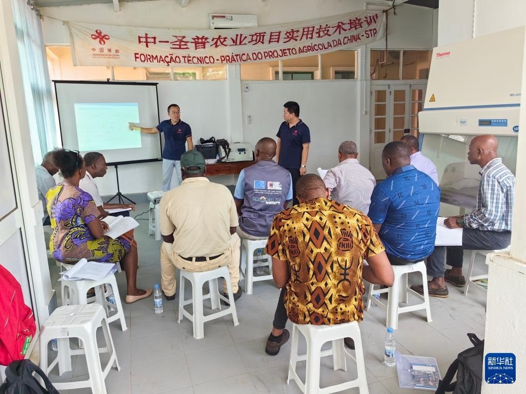 中國援圣普農(nóng)牧業(yè)技術(shù)項目組專家段振華（后左）在圣多美和普林西比的國家獸醫(yī)實驗室開展動物疫病監(jiān)測技術(shù)培訓（2024年6月21日攝）。新華社發(fā)（中國援圣普農(nóng)技組供圖）