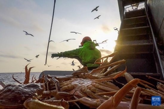 這是俄羅斯蟹業(yè)集團(tuán)工作人員進(jìn)行遠(yuǎn)洋捕撈的資料照片。新華社發(fā)（俄羅斯蟹業(yè)集團(tuán)供圖）