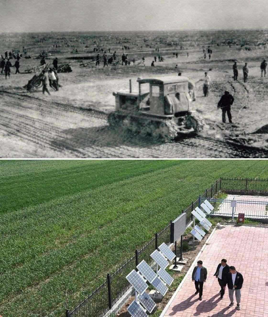 上圖為二十世紀(jì)六十年代蘭考改造鹽堿地的情景（資料照片）；下圖為2024年4月18日拍攝的蘭考縣紅廟鎮(zhèn)高標(biāo)準(zhǔn)農(nóng)田示范區(qū)。（新華社記者 朱祥 攝）