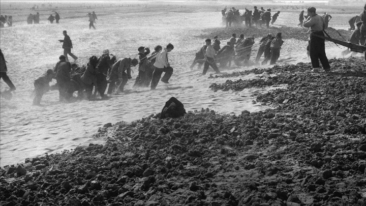 蘭考群眾在拉淤土壓沙。（新華社記者 鄧歷耕 攝）