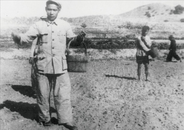 △ 谷文昌在福建省東山縣坑北村參加播種。