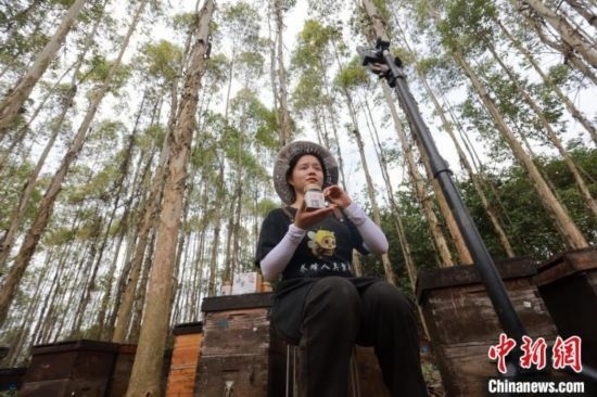 吳素英在網(wǎng)絡(luò)平臺(tái)直播介紹蜜蜂和養(yǎng)蜂情況。湯曉逵 攝