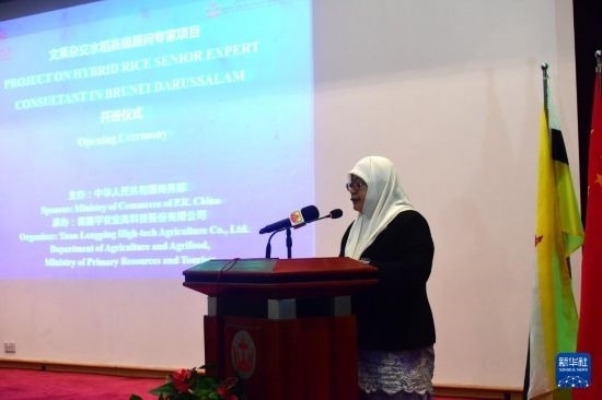 10月26日，文萊初級資源與旅游部常任秘書圖蒂亞蒂在斯里巴加灣市出席中國與文萊雜交水稻高級專家顧問項目啟動儀式。新華社記者 李萌 攝