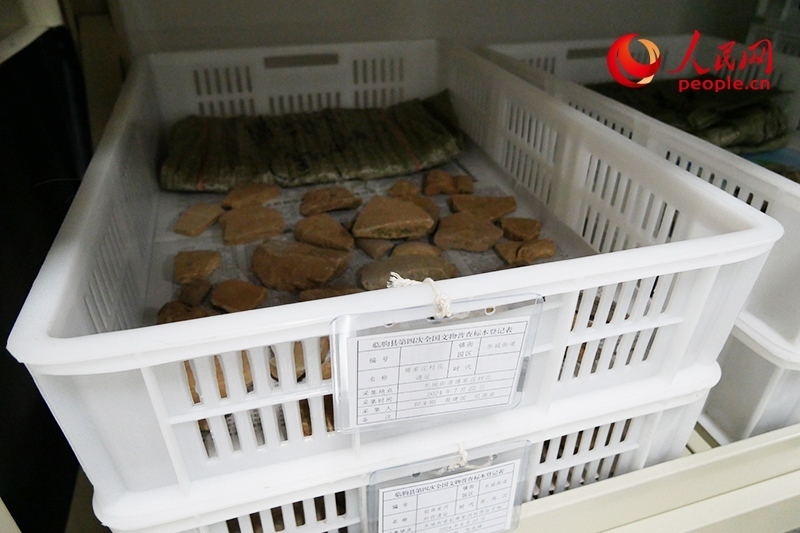 已經(jīng)整理完畢的文物標(biāo)本。人民網(wǎng)記者 韋衍行攝