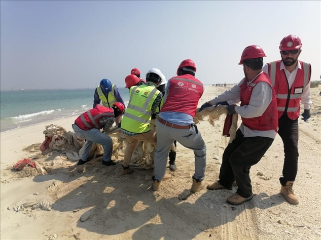 中國(guó)電建員工在撿拾海灘垃圾。中國(guó)電建供圖