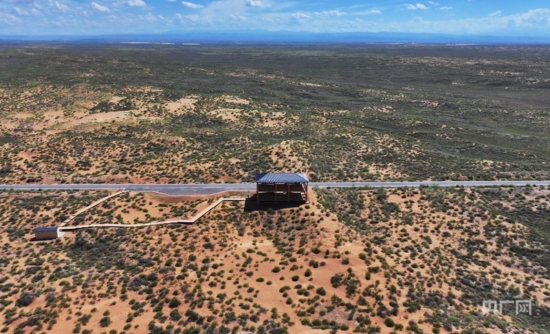 古浪縣一代代人治沙不息，讓綠色向沙漠深處不斷延伸（央廣網(wǎng)記者 李紅軍 攝）