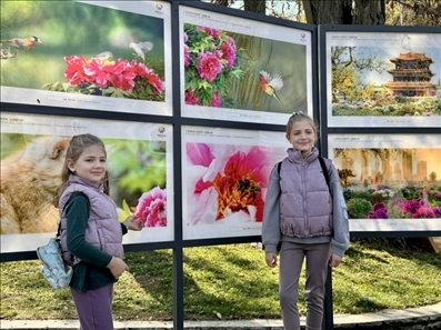 活動(dòng)現(xiàn)場(chǎng)。中國駐保加利亞大使館供圖。