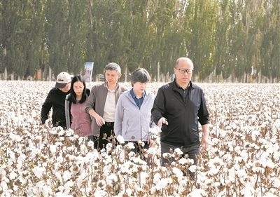 李召虎團(tuán)隊(duì)成員在棉田了解試驗(yàn)情況。 受訪單位供圖
