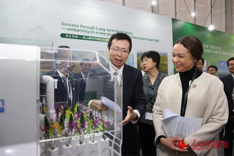 嘉賓參觀中國館。人民網(wǎng)記者任皓宇攝