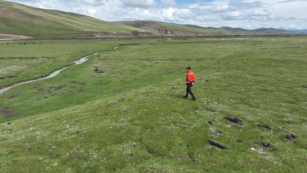 9月24日，生態(tài)管護員那瓦才郎在草場上巡護。（受訪者供圖）