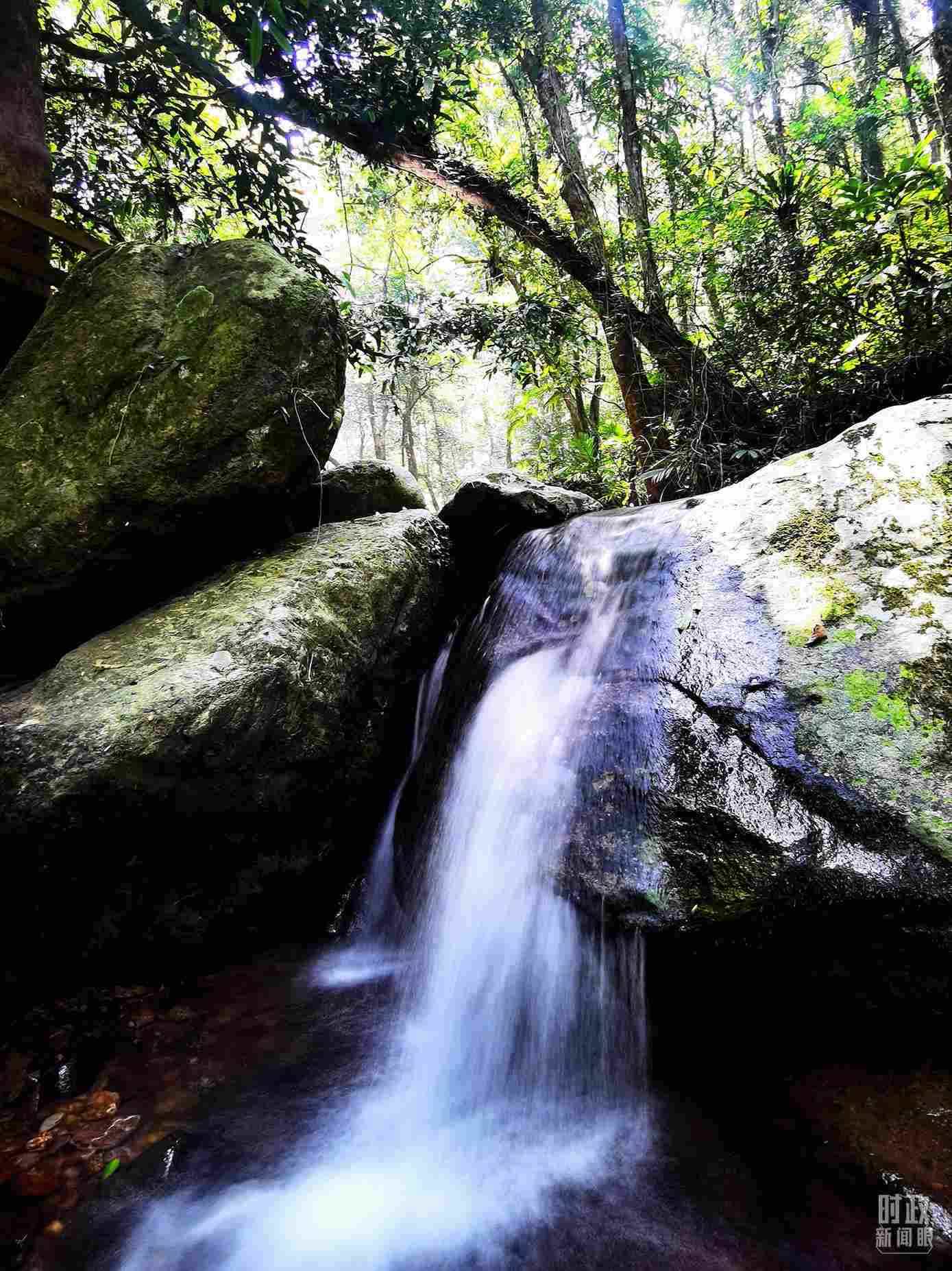 海南五指山。（總臺央視記者劉琦拍攝）