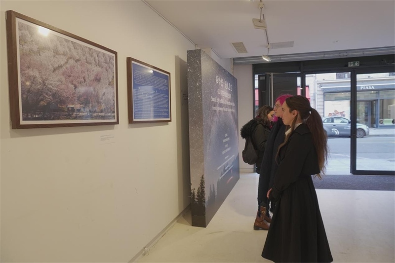 法國觀眾現(xiàn)場觀展(主辦方供圖)