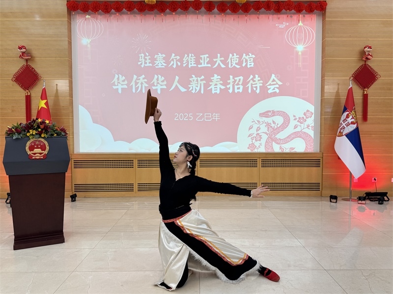 招待會(huì)現(xiàn)場(chǎng)表演。諾維薩德孔子學(xué)院供圖