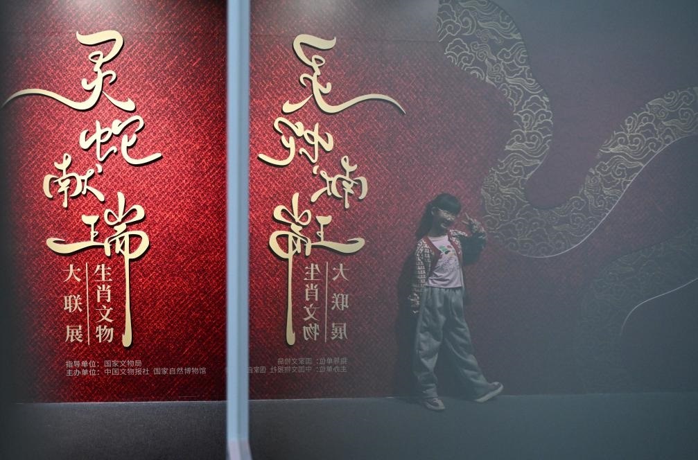 1月18日，一名小朋友在國家自然博物館舉辦的“靈蛇獻瑞——2025乙巳蛇年生肖文物大聯(lián)展”展覽中拍照留念。（新華社記者 陳鐘昊 攝）