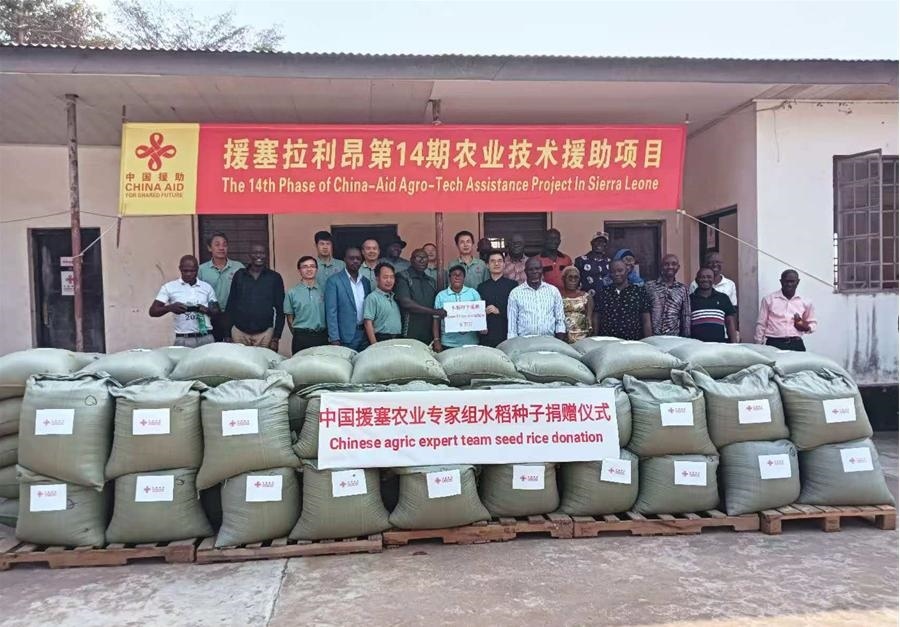 中國援塞拉利昂農(nóng)業(yè)專家組在塞南方省博城舉辦水稻種子捐贈(zèng)儀式。中國援塞農(nóng)業(yè)專家組供圖