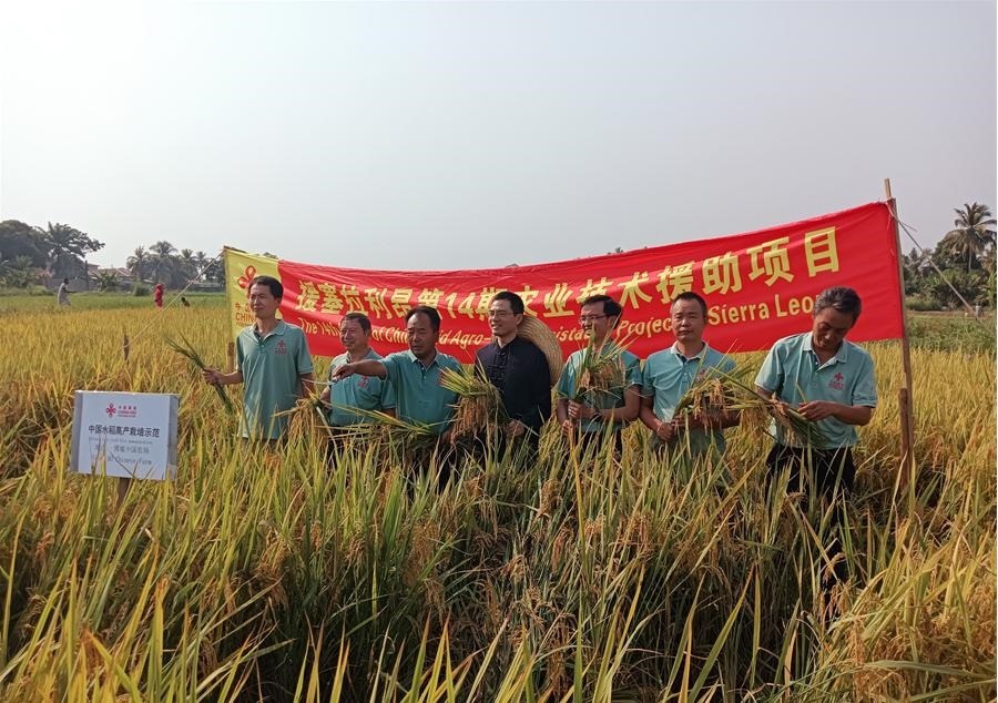 中國駐塞拉利昂大使王擎和援塞農(nóng)業(yè)專家組合影。中國援塞農(nóng)業(yè)專家組供圖