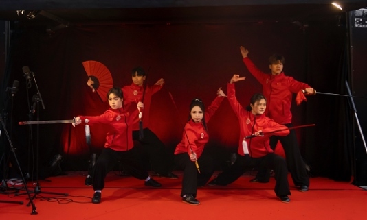 武術表演。中國駐芬蘭大使館供圖