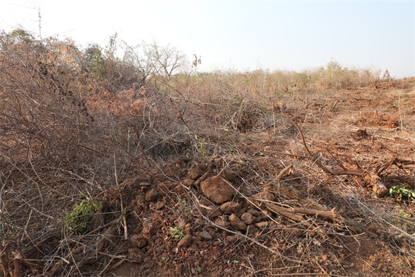 施工現(xiàn)場(chǎng)。張曉昆攝