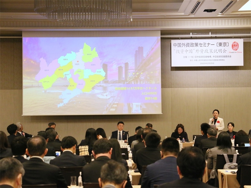 地方代表進(jìn)行專題投資推介。人民網(wǎng) 許可攝