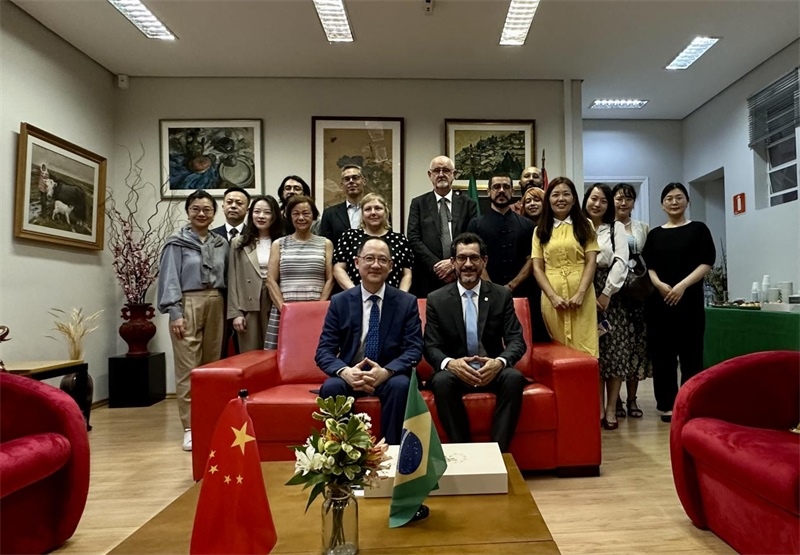 圖為參加座談會(huì)的來(lái)賓合影留念。 圣保羅州立大學(xué)孔子學(xué)院供圖