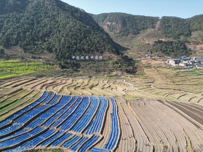 △近日，四川涼山一現(xiàn)代農(nóng)業(yè)園春耕育秧搶農(nóng)時。