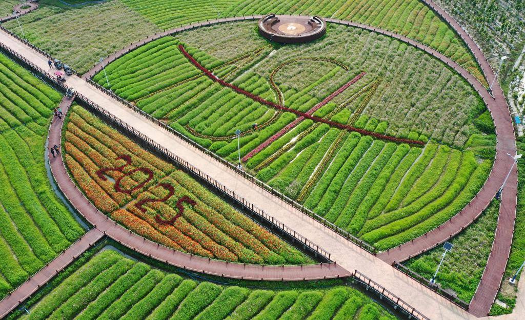 這是3月21日拍攝的瓊海博鰲南強村景色（無人機照片）。新華社記者 郭程 攝