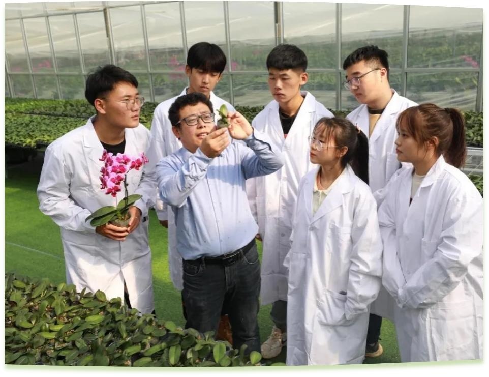 濰坊工程職業(yè)學院科技創(chuàng)新團隊為花卉行業(yè)從業(yè)者作蝴蝶蘭雜交選育技術(shù)指導。學校供圖