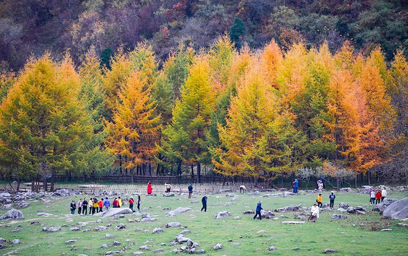 2023年10月27日，深秋時(shí)節(jié)的陜西秦嶺太子嶺五彩斑斕，進(jìn)入最佳觀賞期。