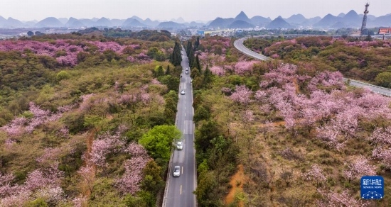 游客驅(qū)車前來清鎮(zhèn)市紅楓湖鎮(zhèn)右二村踏青游玩（4月5日攝，無人機照片）。