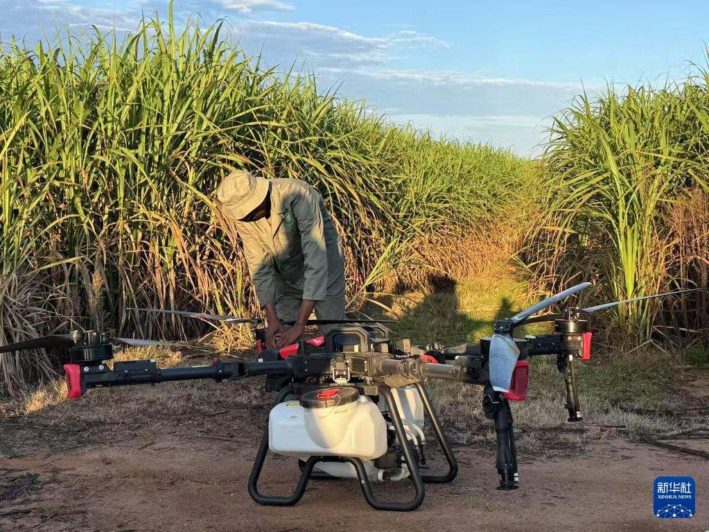 3月25日，在南非夸祖魯-納塔爾省的方廷希爾莊園，工作人員為無人機(jī)做起飛作業(yè)前的準(zhǔn)備。新華社記者 白舸 攝