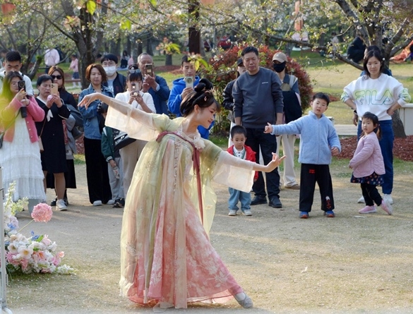 清明假期期間，上海顧村公園櫻花島上，游客在觀賞國風漢服快閃表演。（圖片來源：視覺中國）