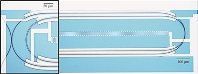 微波光量子傳感器的光學(xué)顯微照片。圖片來(lái)源：美國(guó)哈佛大學(xué)