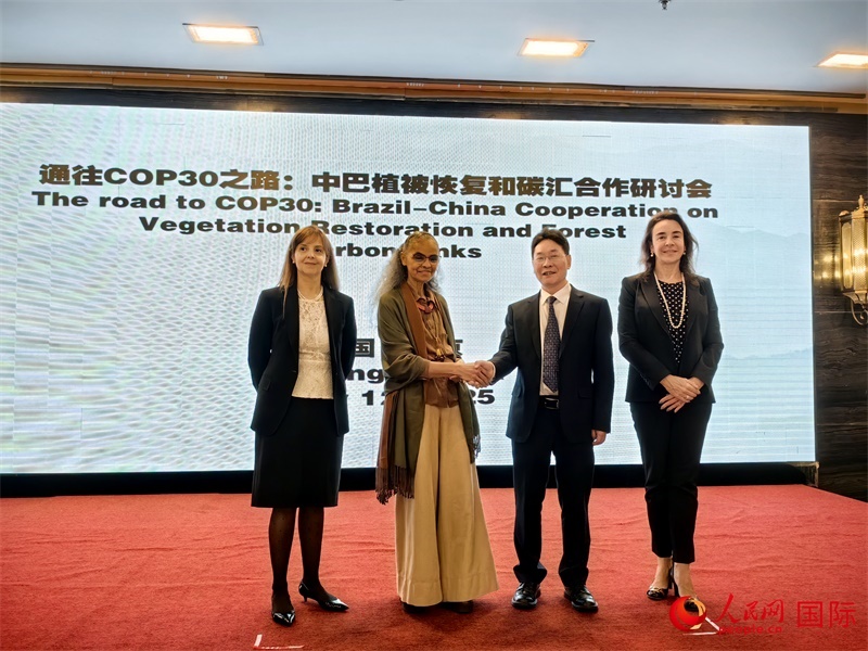 中國國家林業(yè)和草原局副局長李云卿（右二）、巴西環(huán)境和氣候變化部部長瑪麗娜·席爾瓦（左二）、巴西財(cái)政部副部長羅熙丹（右一）、巴西駐華大使館公參樂美（左一）出席“通往COP30之路：中巴植樹造林和碳匯合作研討活動”。人民網(wǎng)記者 符園園攝