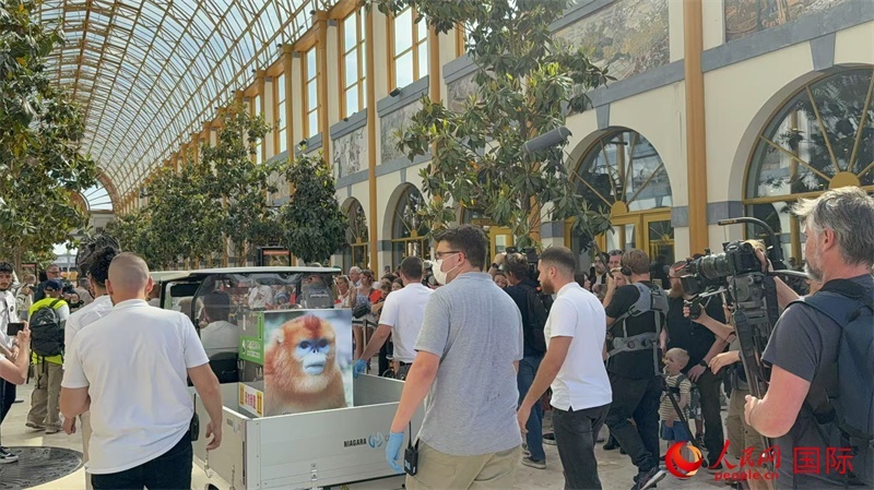 圖為活動(dòng)現(xiàn)場(chǎng)。人民網(wǎng)記者 牛瑞飛攝