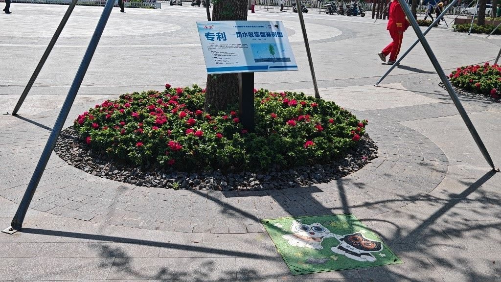 廣安“雨水收集調(diào)蓄樹池”，已在市內(nèi)公園落地運用。受訪者供圖