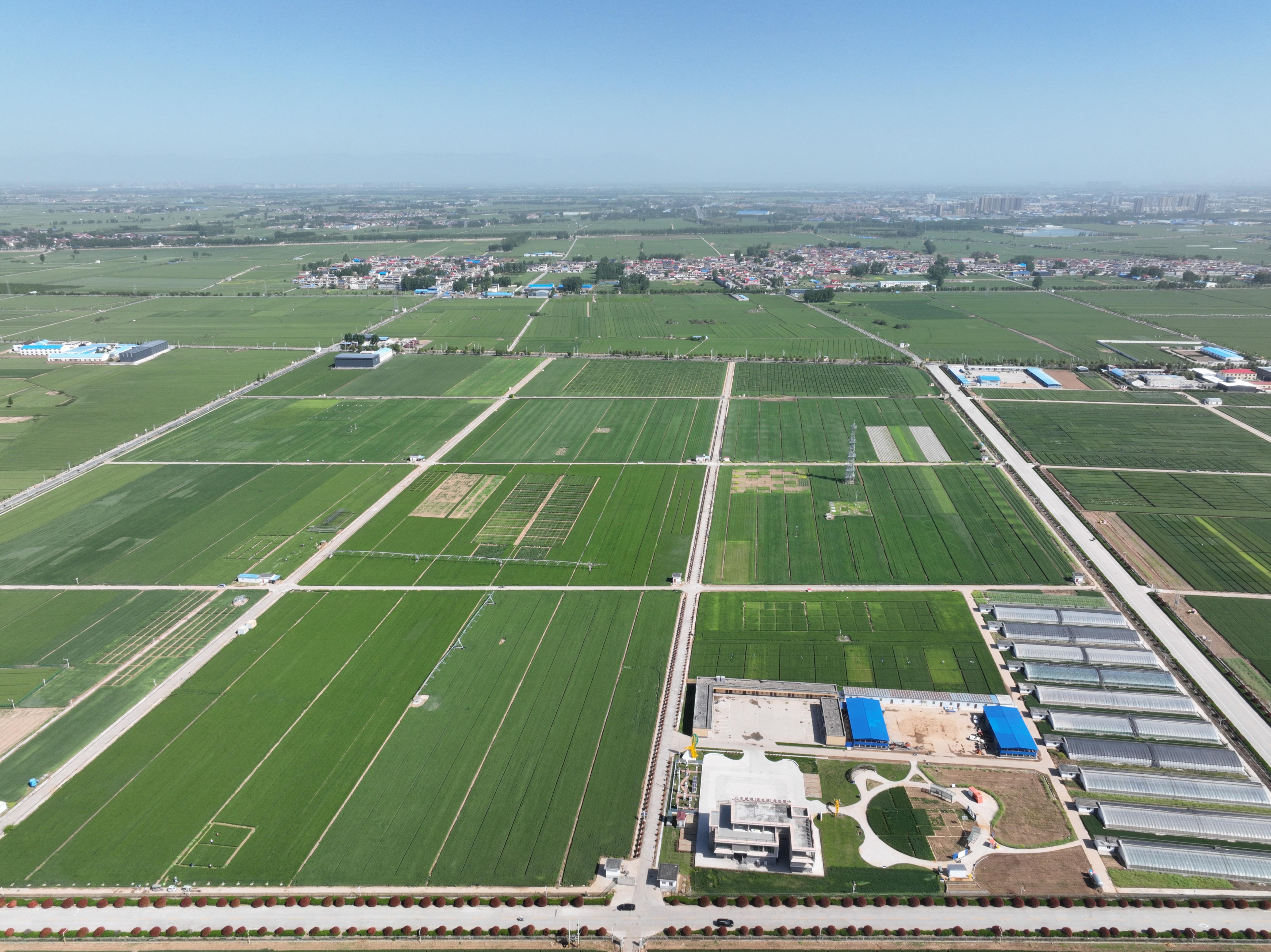 俯瞰水利部灌溉試驗(yàn)總站試驗(yàn)研究基地。受訪(fǎng)者供圖
