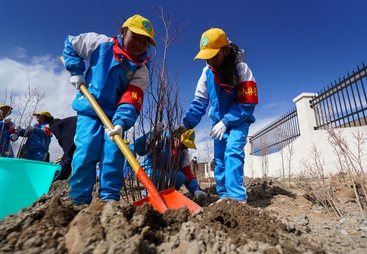 2025年4月25日，西藏那曲市小學(xué)生在植樹。新華社記者 晉美多吉 攝